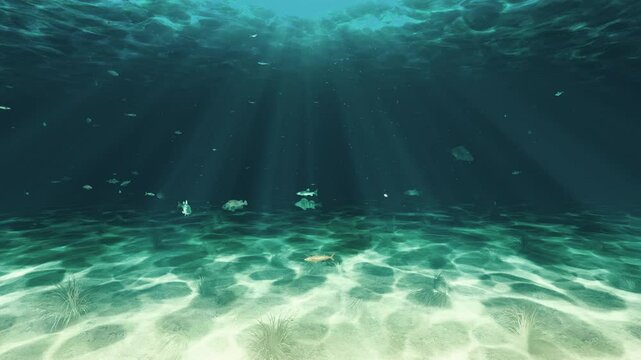 This stock motion graphics video pack includes 3 different clips of underwater scenes with light rays and floating particles. Two clips feature mysterious sunken ruins of a lost civilization.


