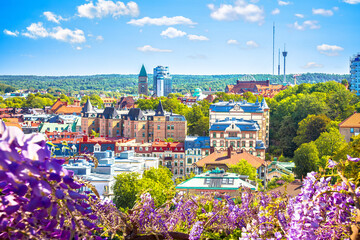 City of Gothenburg rooftops panoramic flower frame  view