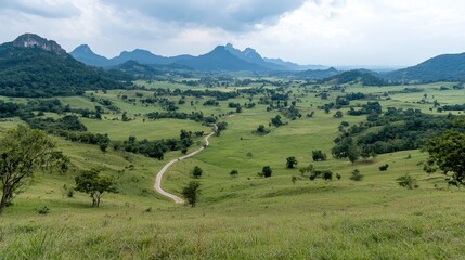 Fototapeta premium Winding dirt road runs through a lush green valley surrounded by rolling hills and distant mountains under a cloudy sky.