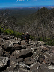 Hikers Descending Rocky Trail with Scenic Mountain Views