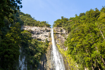 Obraz premium Nachi Falls in Asia, Japan, Kansai, Nachisan, in summer, on a sunny day.