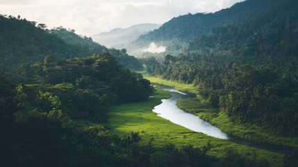 Lush valley river winding through tropical foliage