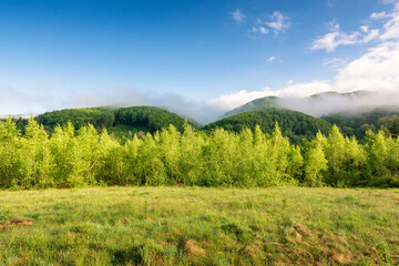 fog in carpathian mountain landscape. beautiful countryside in valley of perechyn district in spring. green hay field and forest on the distant hill in mist. blue sky with clouds on a sunny morning