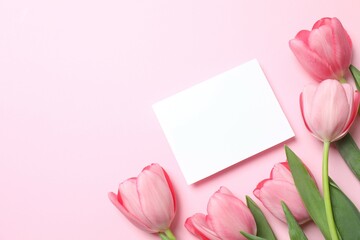 Obraz premium Beautiful fresh tulips with paper card on color background