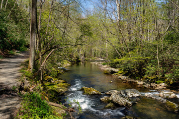 The Little River Trail along the Little River is a popular hike in the Great Smoky Mountains. Combined with the Cucumber Gap Trail, it is a 5.4-mile loop through a mixed forest and riverine habitat.