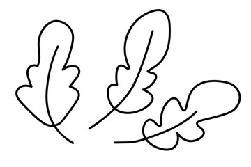 Arugula leaves in doodle style. Isolated elements