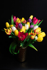 beautiful spring flowers on black background