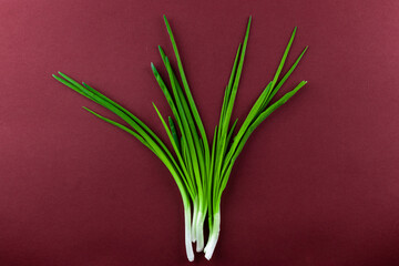 Fresh Green Onions Displayed on a Dark Red Background with Long Green Tops and White Roots for an Appealing Culinary Presentation