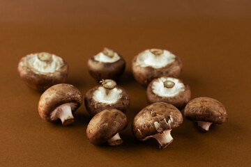 Fresh Gourmet Mushrooms Ready for Culinary Exploration: A Collection of Delicious Brown Varieties on a Rich Brown Background