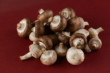 A Bountiful Collection of Fresh Mushrooms on a Bold Red Background, Capturing the Natural Beauty and Versatility of This Culinary Delight