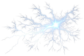 Fototapeta premium snow covered branches of tree