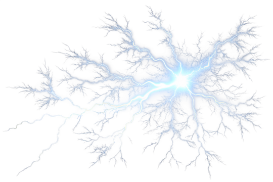 snow covered branches of tree - Powered by Adobe