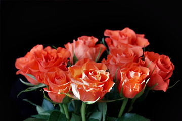 Nine Donna peach roses in bouquet on the black background with free copy space