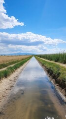 Fototapeta premium Tranquil Irrigation Canal Under a Summer Sky