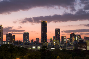 Obraz premium The night city view in Osaka in Asia, Japan, Kansai, Osaka, in summer, on a sunny day.