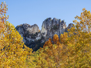 The jagged mountain top of Seneca Rocks, West Virginia, framed by trees in vibrant fall colors and...