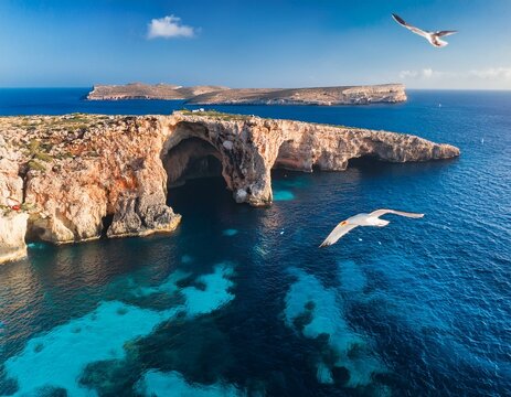 aerial view of the sea caves of cominotto uninhabited island near comino maltese islands seagull flying in the frame high quality photo