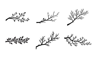An assortment of tree Isolated Branches Silhouettes