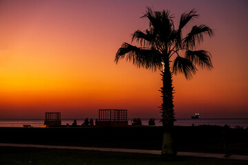 Silhouette Tropical Palm Trees At Sunset, Summer Vacation