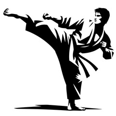 Fototapeta premium Karate fighter executing a high kick silhouette