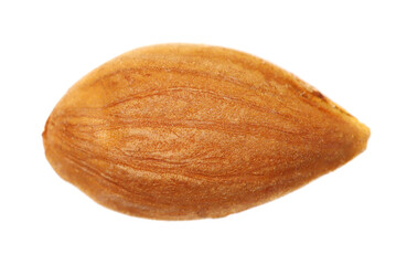 Close up apricot kernel isolated on white background, macro