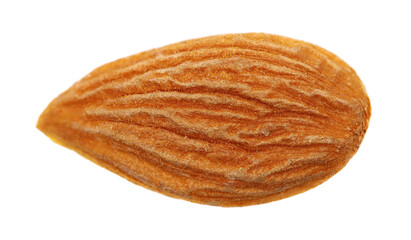 Close up apricot kernel isolated on white background, macro