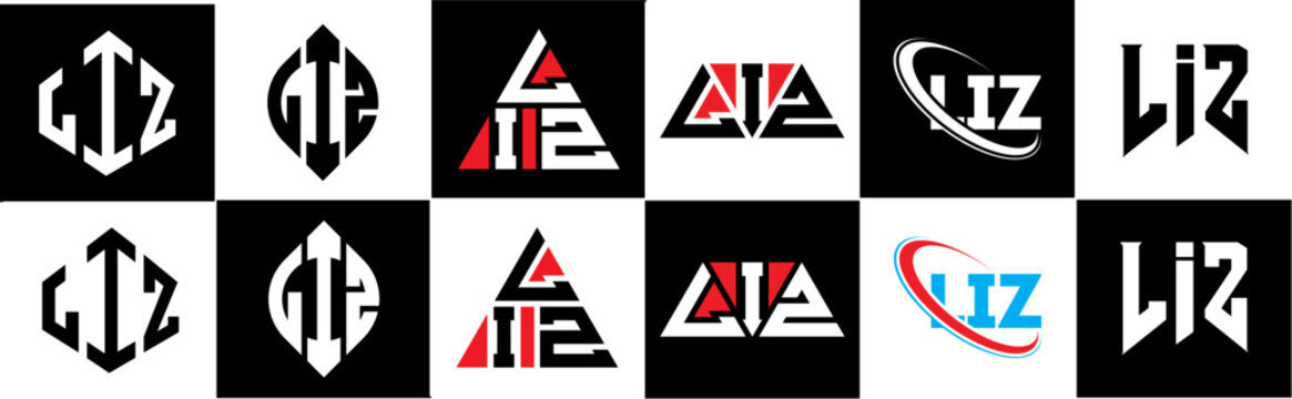 LIZ letter logo design in six style. LIZ polygon, circle, triangle, hexagon, flat and simple style with black and white color variation letter logo set in one artboard. LIZ minimalist and classic logo