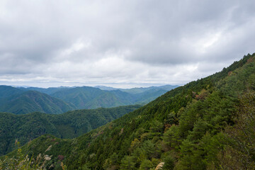 Naklejka premium The mountains at Koya San in Asia, Japan, Kansai, Koya, in summer, on a sunny day.