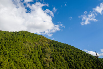 Fototapeta premium The mountains at Koya San in Asia, Japan, Kansai, Koya, in summer, on a sunny day.