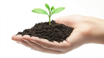 A close-up of a hand holding rich soil with a young green plant growing from it, symbolizing growth and sustainability.
