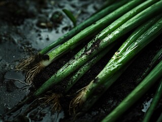 green onions freshly harvested, still covered in a layer of damp soil