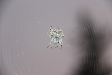 Saskatchewan Scenery Qu'Appelle Valley area