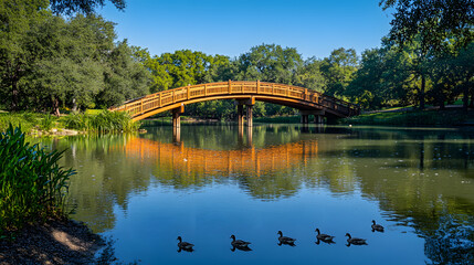 Beautiful wooden bridge over a serene pond with ducks swimming beneath a clear blue sky in a lush park