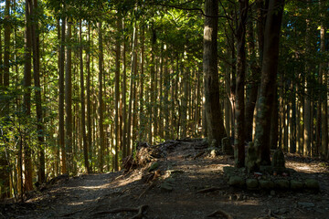 Gyuba-doji statues on the Kumano Kodo in Asia, Japan, Kansai, Kumano Kodo, in summer, on a sunny day.