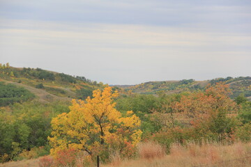 Saskatchewan Scenery Qu'Appelle Valley area