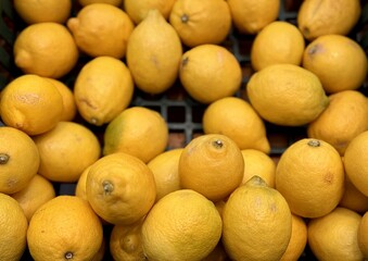 Ripe fresh yellow lemons on the shelf of a fruit supermarket are displayed for sale