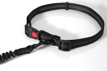 Hand free leash, belt for walk with dog, pet accessories