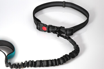 Hand free leash, belt for walk with dog, pet accessories