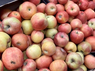 Box filled with fresh juicy natural bio organic red apples placed on counter in local food market