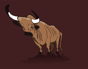 Angry bull standing on dark background reflecting its shadow