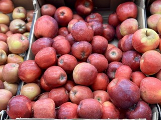 Box filled with fresh juicy natural bio organic red apples placed on counter in local food market