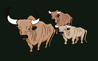 Three angry bulls charging forward on dark green background