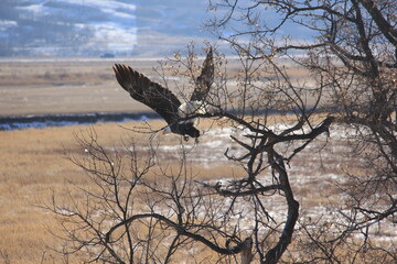 Saskatchewan Scenery Qu'Appelle Valley area