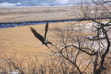 Saskatchewan Scenery Qu'Appelle Valley area