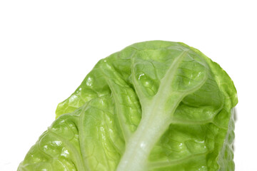 Close Up of Lettuce Leaf or Leaves on a White Background