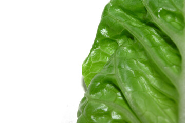 Close Up of Lettuce Leaf or Leaves on a White Background