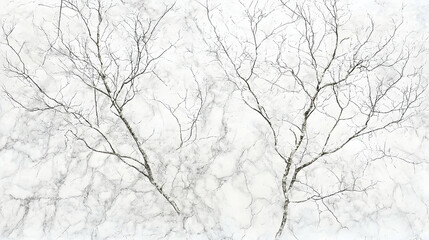 Obraz premium Bare Branches Against Marble Background Winter Texture, Design Element