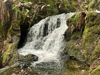 Unnamed waterfall near Bremerton, Washington