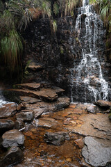Fototapeta premium Close-up of a cascading waterfall in a high-altitude páramo, surrounded by lush vegetation and moss-covered rocks. The fresh water flows over rugged terrain, highlighting the ecosystem's richness
