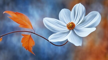 Fototapeta premium Serene Autumn Bloom: White Flower with Orange Leaves